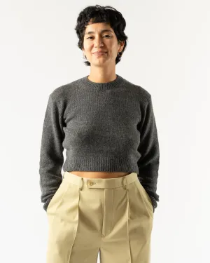 Auralee Wool Cashmere Silk Knit Short Pullover in Gray