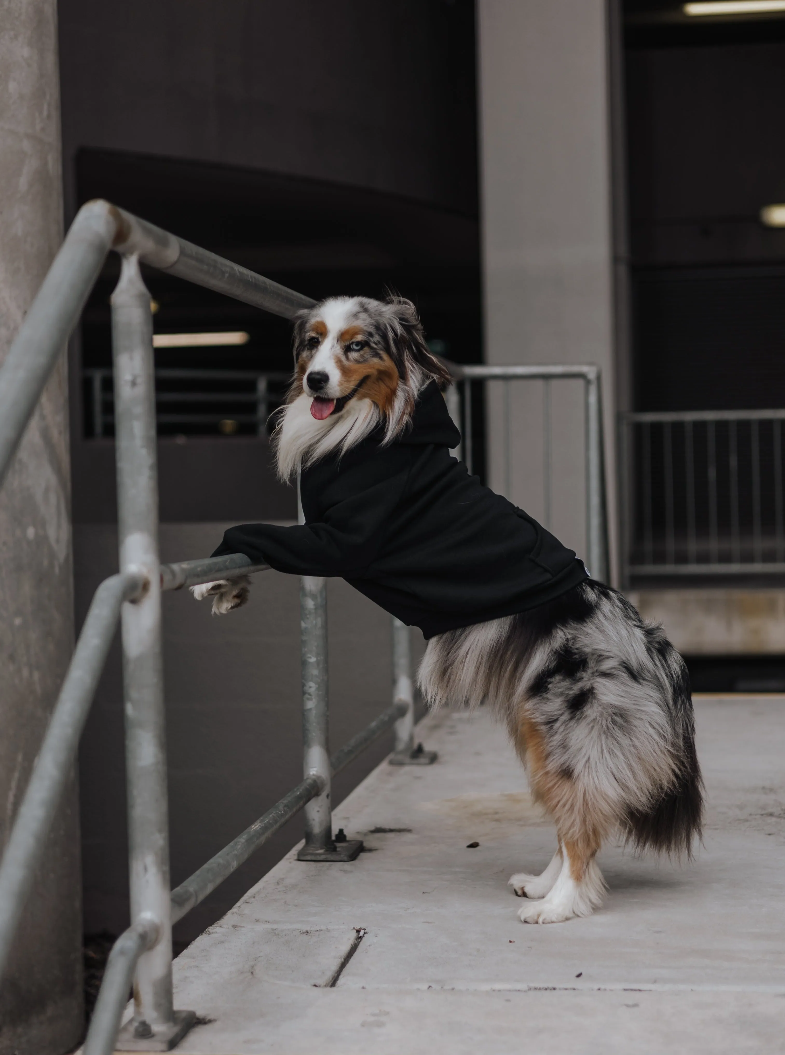 Sk8er Bois Hoodie